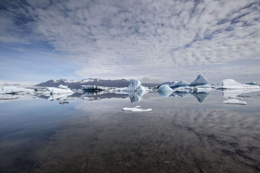 icebergs in a body of water