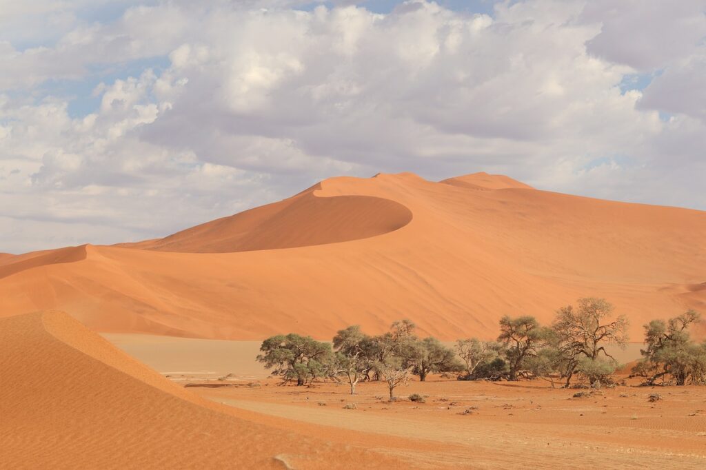 a sand dunes with trees and a cloudy sky