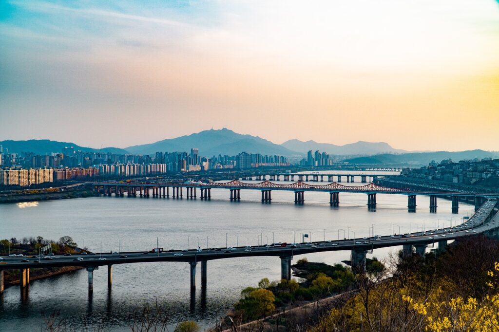 서울숲 뚝섬 한강공원 도심 속 자연과 함께하는 힐링 피크닉