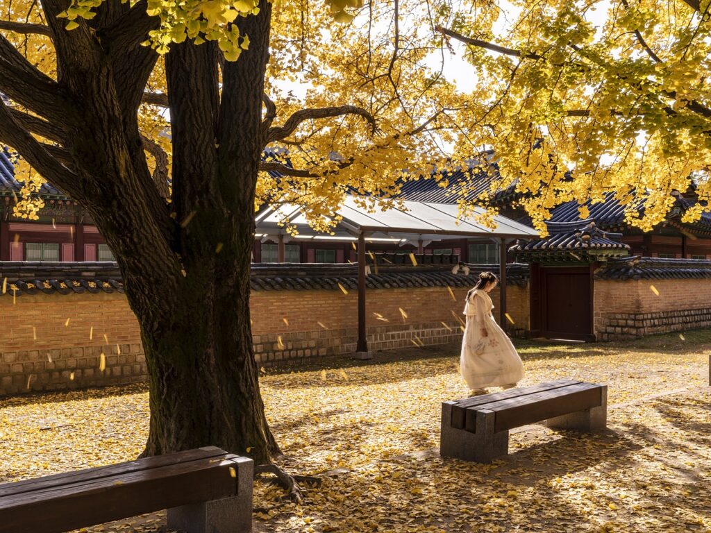 경복궁 한복 대여 정보